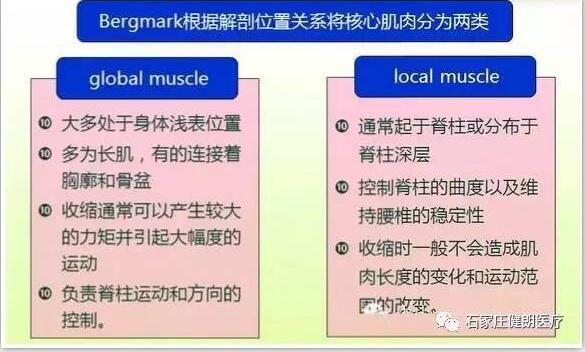 悬吊技术在慢性下腰痛中的应用(图3)